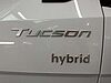 Hyundai TUCSON 1.6T Hybrid N Line S 5dr Auto White