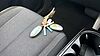 Hyundai IONIQ 5 125kW Advance 63 kWh 5dr Auto Electric Hatchback Pearl - Ecotronic Grey