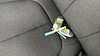 Hyundai IONIQ 5 125kW Advance 63 kWh 5dr Auto Pearl - Ecotronic Grey