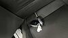 Hyundai BAYON 1.0 TGDi [90] Black Line 5dr DCT Red