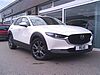 Mazda CX-30 2.0 e-Skyactiv X MHEV Takumi 5dr Auto White