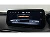 Hyundai SANTA FE Santa FE 7st 1.6 Tgdi HEV Premium AU 2WD Taiga Brown